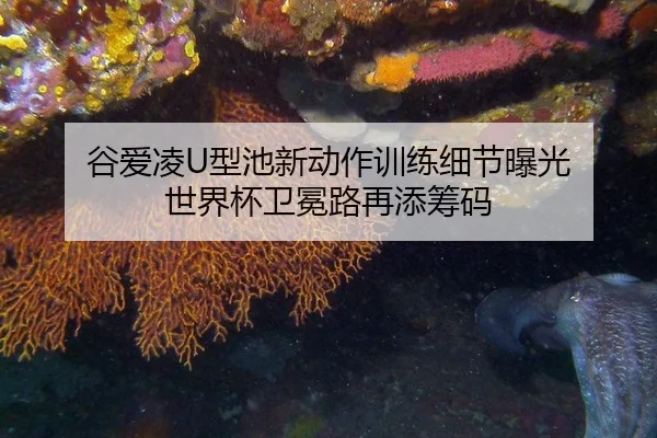 gu-ai-ling-xing-chi-xin-dong-zuo-xun-lian-xi-jie-bao-guang-shi-jie-bei-wei-mian-lu-zai-tian-chou-ma-3-365.jpg
